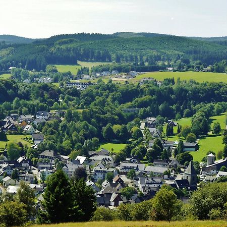 Ferienhaus Diemelquelle - Mit Eingezaeuntem Garten Виллинген Экстерьер фото