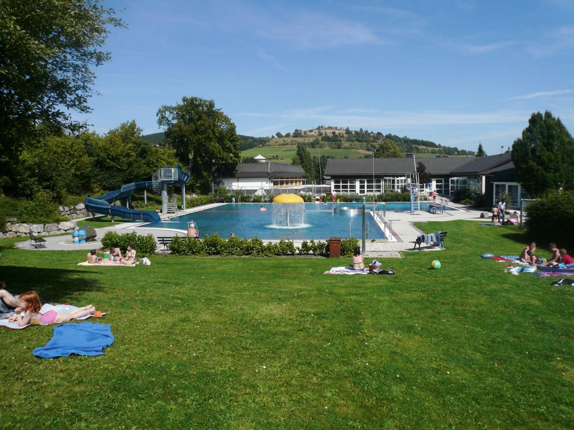 Ferienhaus Diemelquelle - Mit Eingezaeuntem Garten Виллинген Экстерьер фото